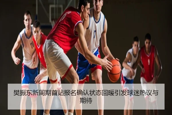 樊振东新周期首站报名确认状态回暖引发球迷热议与期待